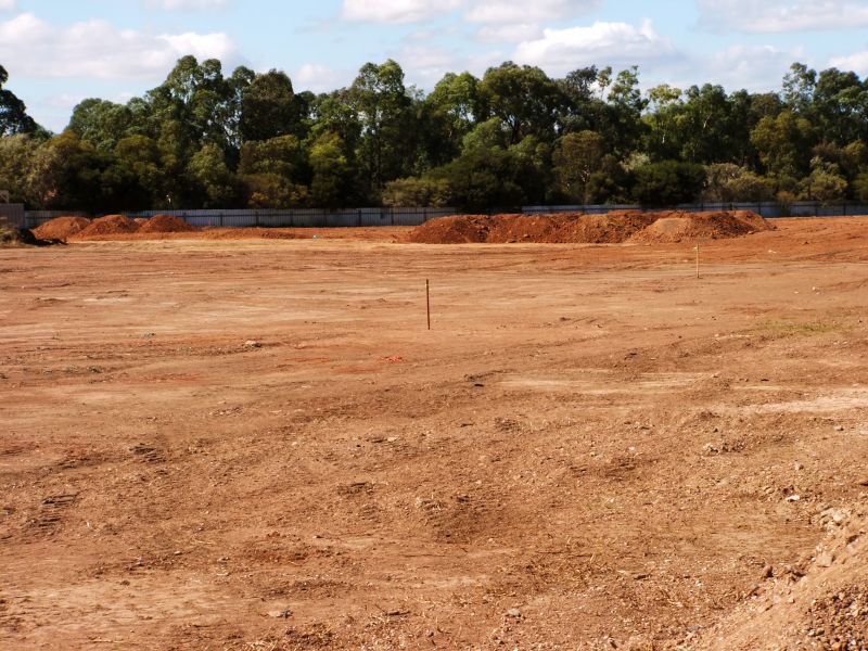 Fall Site Preparation